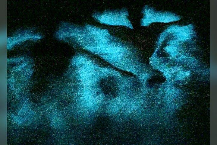 Blue Hole, Scotchies & Luminous Lagoon (Glistening Waters) Combo 3 em 1