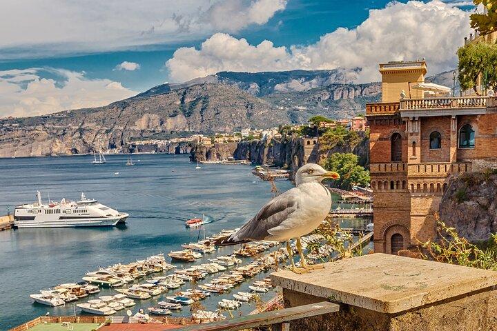 Privat transfer från Rom till Sorrento