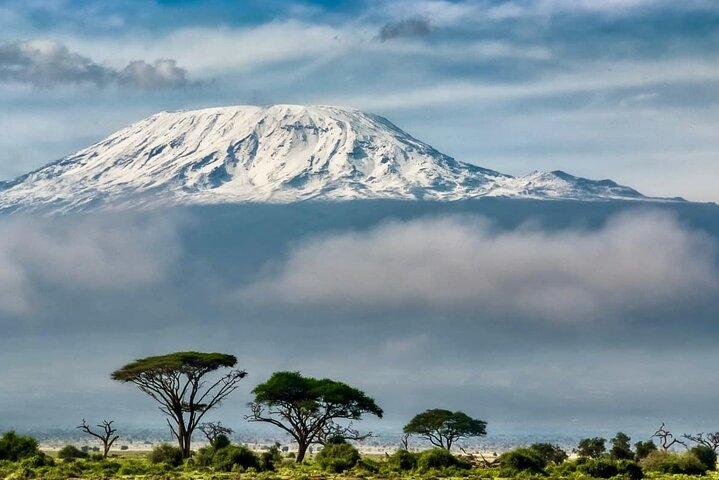 7-Day Kilimanjaro Machame Route Climb with Expert Guides