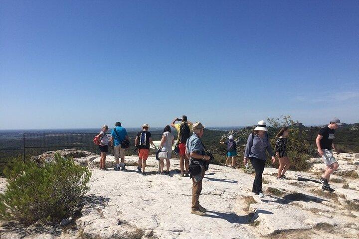 Excursão privada a Arles e Les Baux-de-Provence