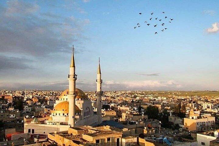 Tour di Madaba e del Monte Nebo da Amman