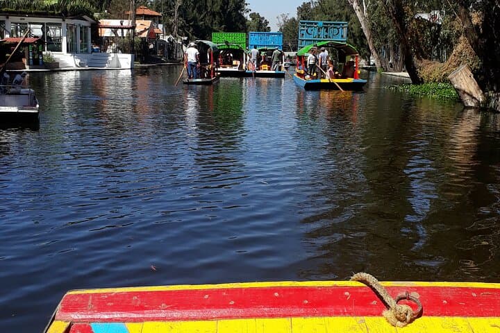 Xochimilco Floating Gardens Tour with a Local: Private & Custom