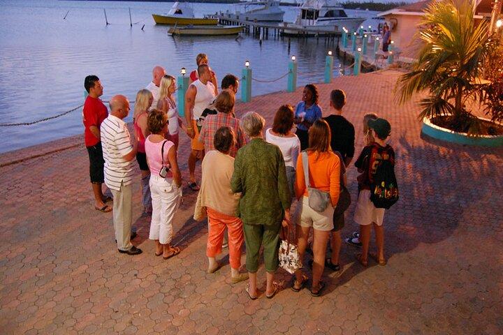 Luminous Lagoon Night Cruise von Montego Bay