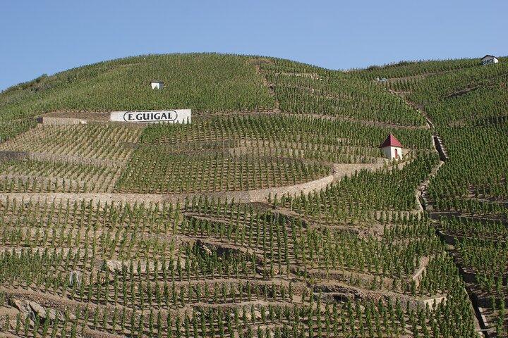 Halvdags privat vintur till Cotes du Rhone från Lyon