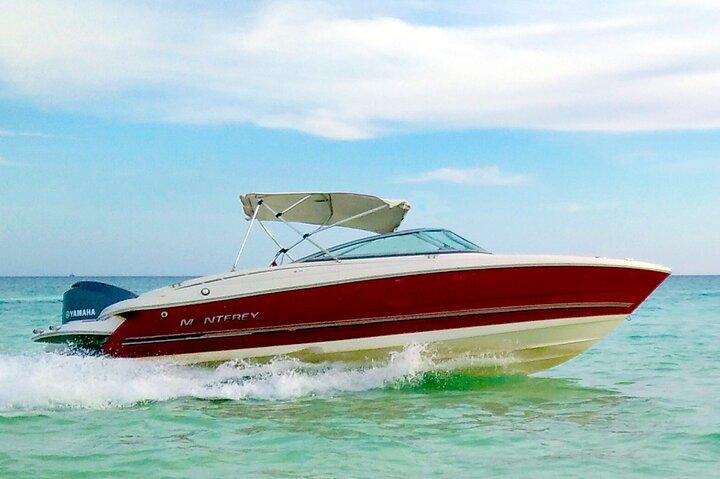 PRIVAT! | 4-timers speedbådtur | Svøm med delfiner, snorkling og ø