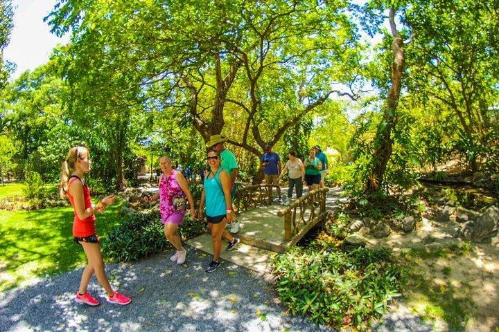 Gumbalimba Park upplevelse