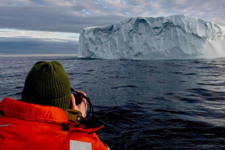 Hotéis perto de St. John's Whale Watching, Seabird & Iceberg Tours
