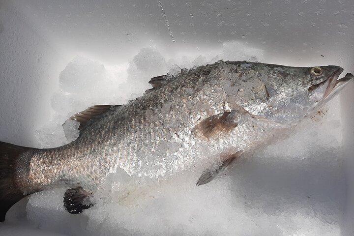 Tour della fattoria gourmet Hook-a-Barra