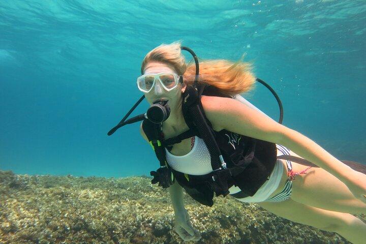 Maiorca: prova le immersioni subacquee in una splendida riserva naturale