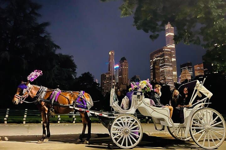 Central Park Moonlight Tour with Photo (45 min) ~ Skip the line