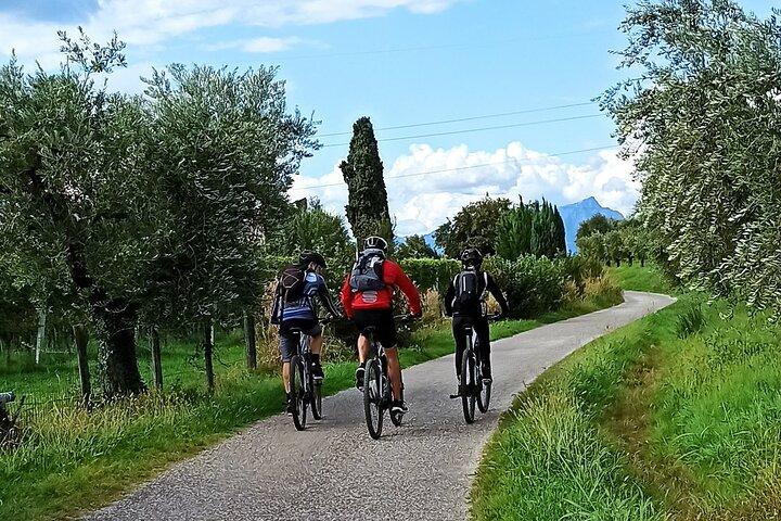 E-cykeltur og vinsmagning fra Bardolino