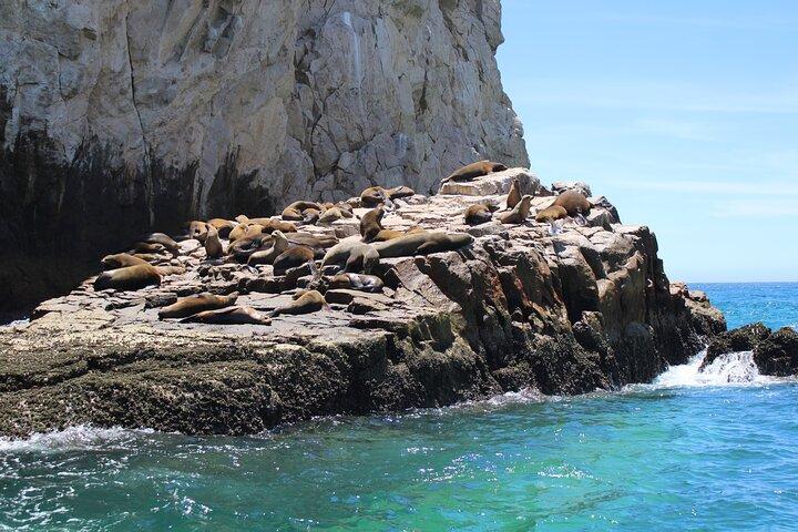 Tour condiviso all'Arco di Cabo San Lucas