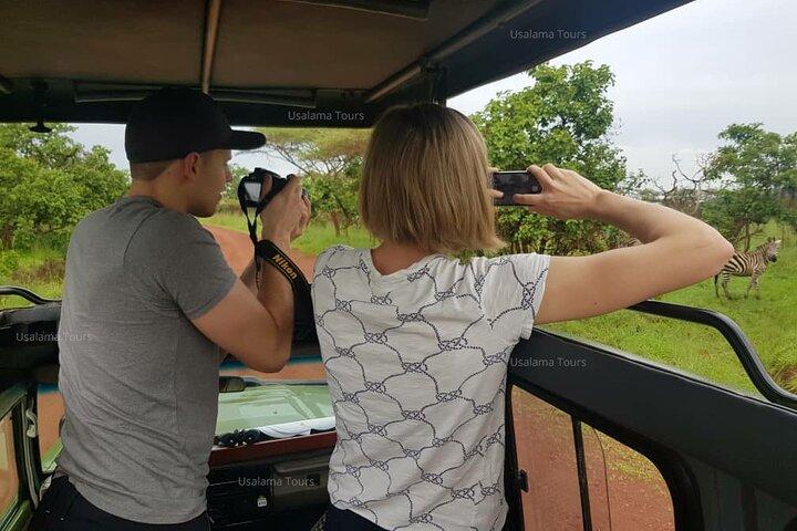 2 dages tur_Akagera National Park (Wildlife Safari)