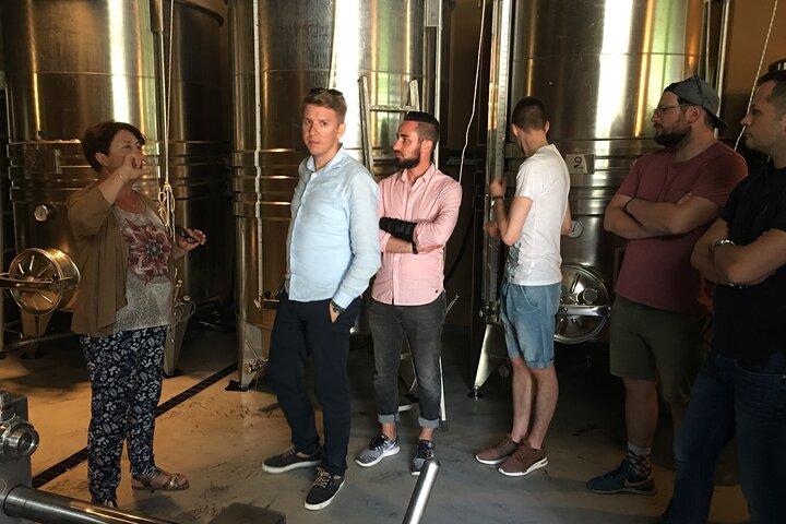 Privat tur, middelalderlig Saint Paul og vinsmagning (fra Nice)