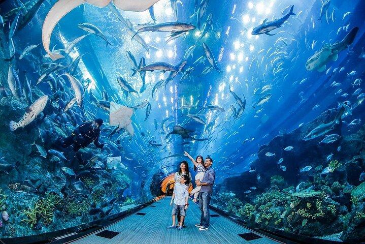 Mall Aquarium and Underwater Zoo