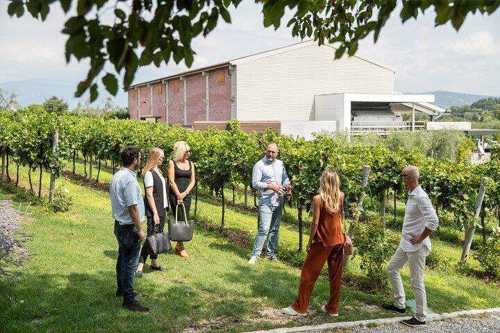 Visite et Dégustation de Vins Bio à Lazise