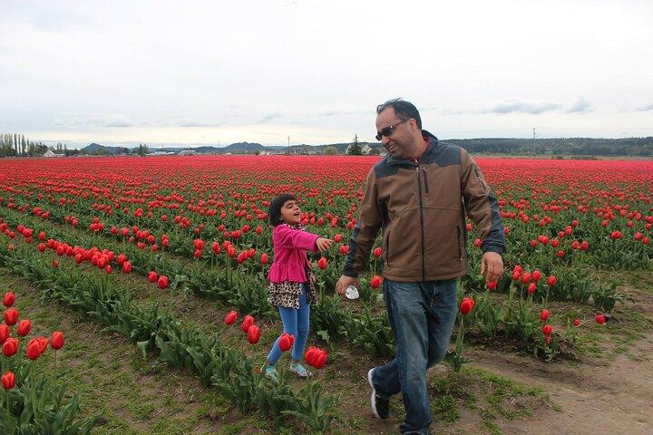 Festival dei tulipani a Skagit Valley, La Conner e Deception Pass