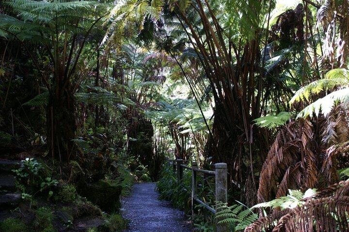 ビッグアイランドからハワイ火山国立公園を体験