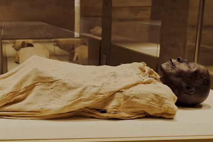 Cairo Tour To The National Museum of Egyptian Civilization, Citadel & Bazaar