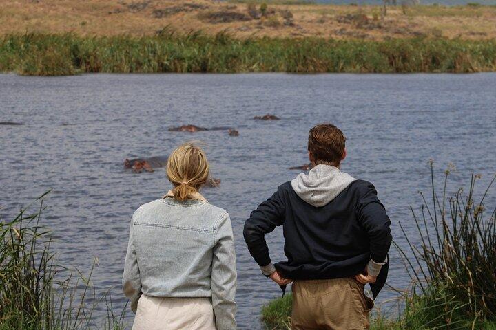 Heldags Ngorongoro Crater privat tur