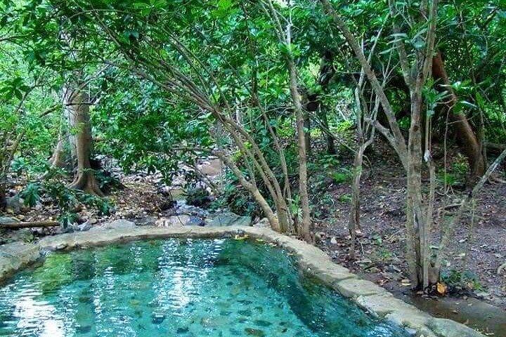 Source chaude ombragée, massage et grill Mex à Puerto Vallarta