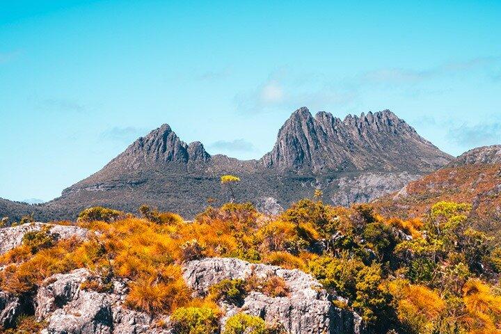 Dagtocht naar Cradle Mountain National Park vanuit Launceston
