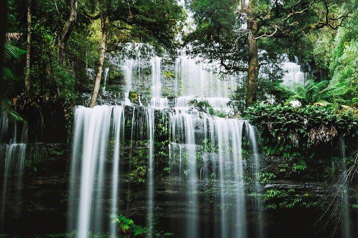 Mt Field National Park e Russell Falls da Hobart
