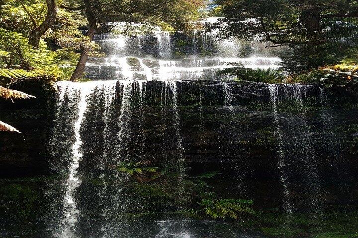Mt Field National Park e Russell Falls da Hobart