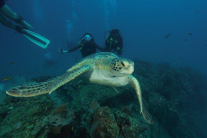 Tour de Buceo en Isla del Caño para buzos certificados