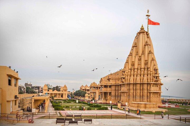 Rajkot au temple de Diu, safari au lion et visite de la plage au Gujarat