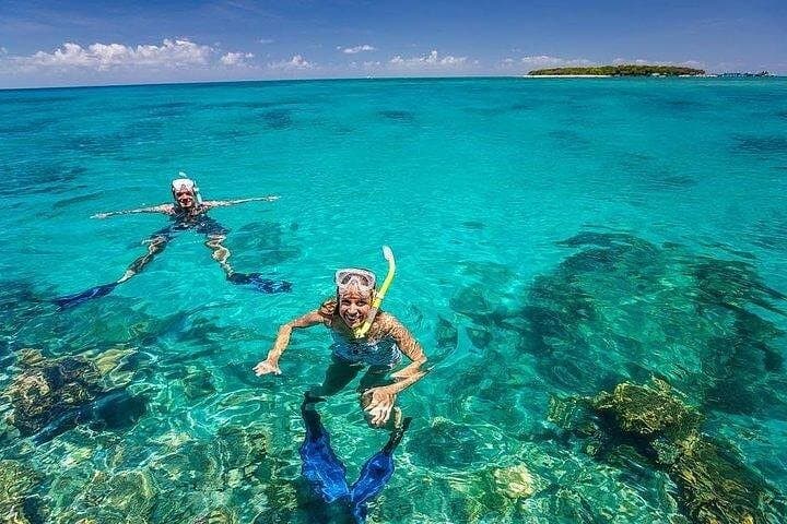 Private Full-day Dhow Cruise to Mnemba Island reef for Snorkeling