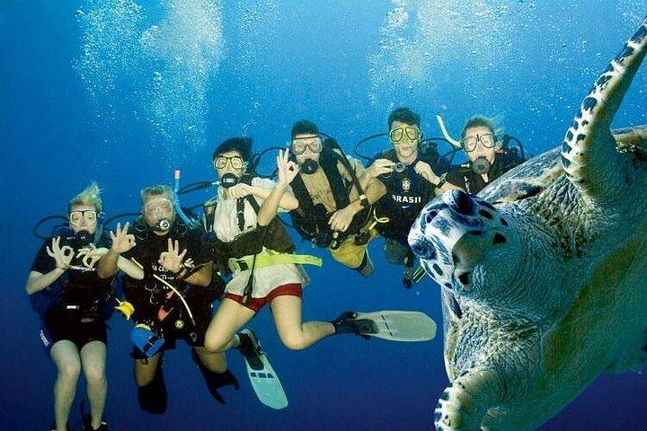 ルクソール発ハルガダ紅海シュノーケリングへの素晴らしい一日