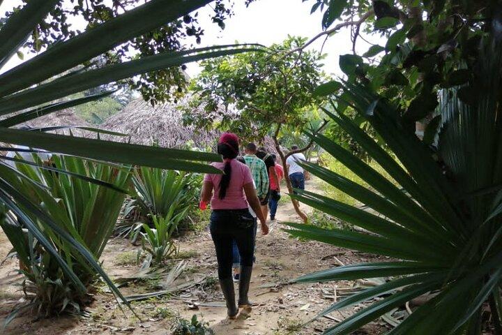 Ancestral Thought Tour (Leben der Ureinwohner der Kogui) Santa Marta