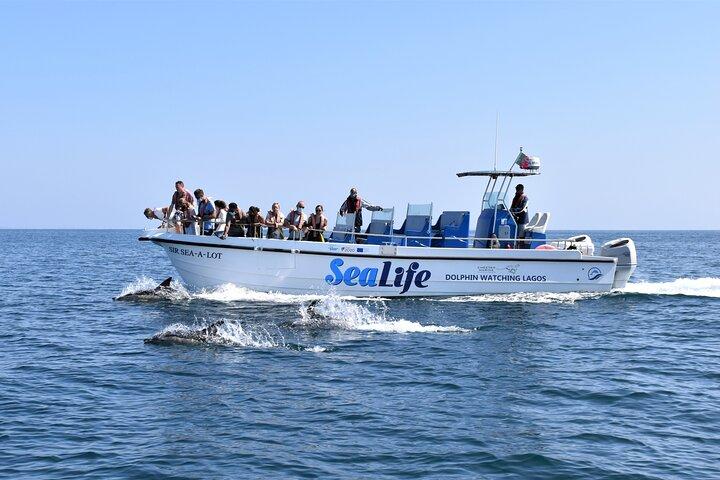 Sealife Zeesafari, dolfijnen spotten met Marine Biologist's Lagos