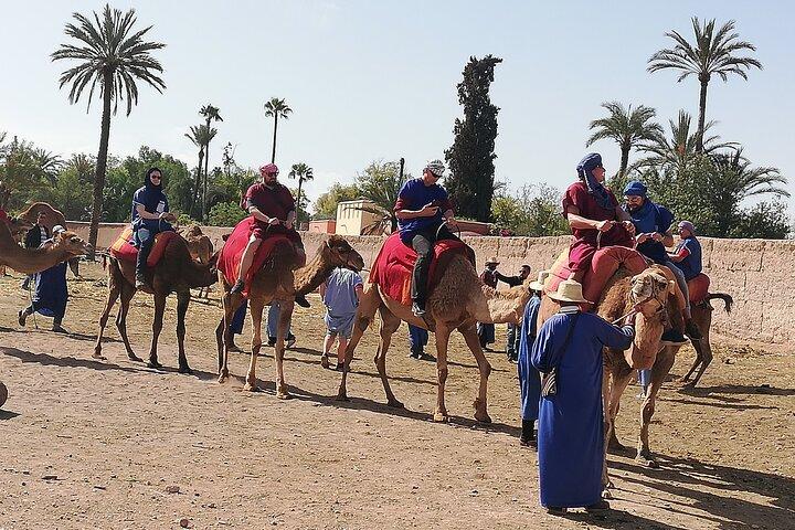 Tagesausflug ins Ourika-Tal und zum Hohen Atlas von Marrakesch aus: Geteilt