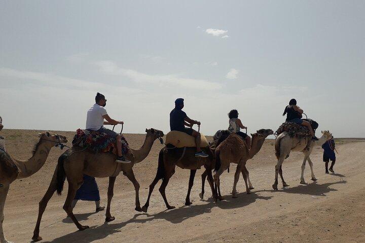 Experience Private Camel Ride