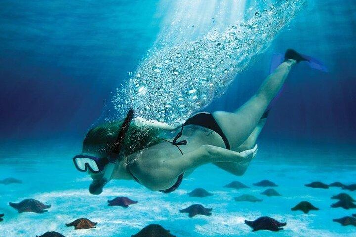 Full Day Tour to Isla Saona and Altos de Chavon