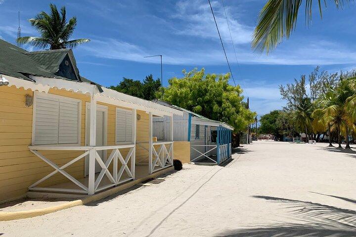 Full Day Tour to Isla Saona and Altos de Chavon