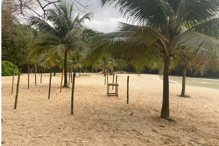 Frenchman's Cove Beach inklusive Tour ab Montego Bay