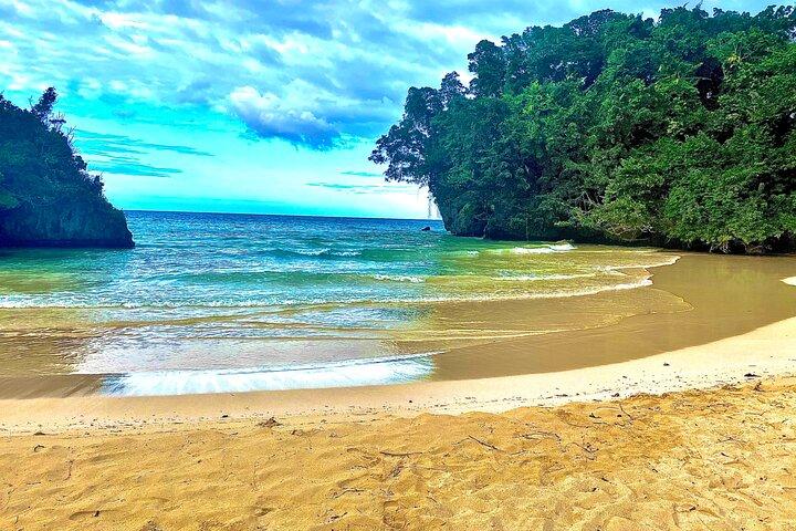 Frenchman's Cove Beach inklusive Tour ab Montego Bay