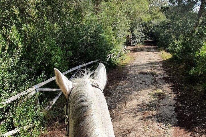 Équitation dans une réserve naturelle du Salento avec transfert de Lecce