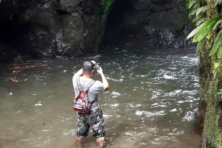 Mindo Cloud Forest: Hummingbirds, Birding & Waterfalls | Private
