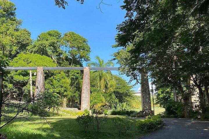 Transporte privado para Negril de Montego Bay
