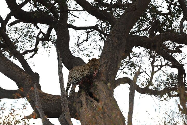 3 days/2 nights budget-group joining Masai Mara Safari