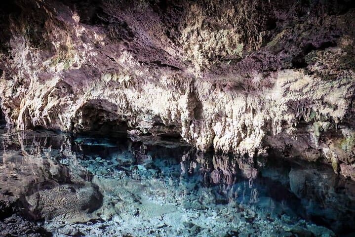 Dolphin Tour; Kuza Cave Tour; Paje Beach; The Rock Restaurant; Jozani Forest
