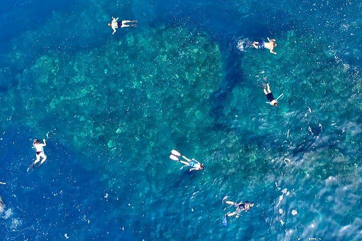 Spedizione di snorkeling per piccoli gruppi a South Kona