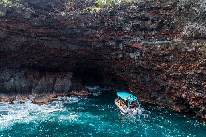 Spedizione di snorkeling per piccoli gruppi a South Kona
