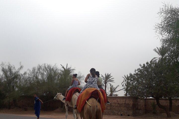 Experience Private Camel Ride