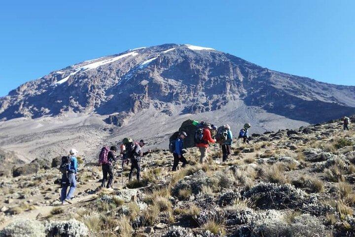 Ruta Rongai de 7 días