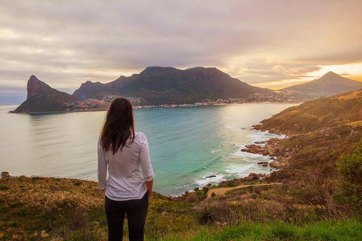 Visite privée de Cape Peninsula avec entrée au Cap de Bonne-Espérance et aux Penguins